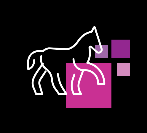 kachel equinova hoeveler bewegungsapparat